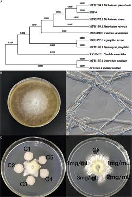 Bacillus sp. alone or combined with salicylic acid inhibited Trichoderma spp. infection on harvested white Hypsizygus marmoreus